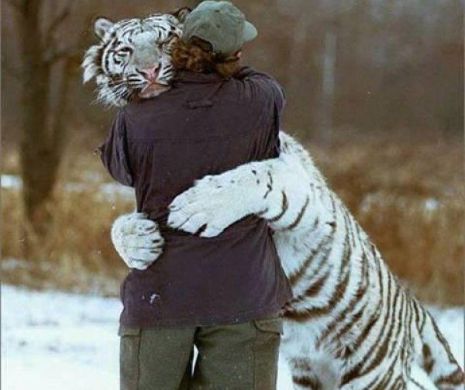 Iubire MORTALĂ. Exemple de idioți ce cred că o îmbrățișare cu un animal cu instincte CRIMINALE este o idee bună  | GALERIE FOTO