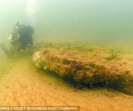 PĂDURE veche de 10.000 de ani, descoperită pe fundul mării. Era mare cât toată EUROPA | GALERIE FOTO
