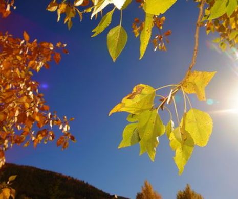 PROGNOZA METEO. Temperaturi cu care nu ne-am mai întâlnit de 50 de ani. Cât de mult se încălzeşte