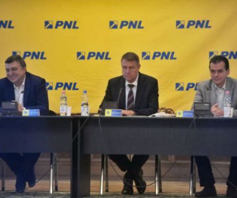 Reacţia PNL după decizia ÎCCJ în cazul dosarului lui Klaus Iohannis