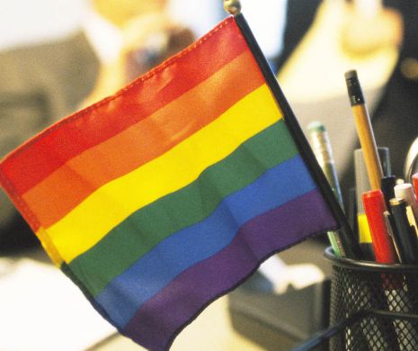 Școală de STAT pentru elevii HOMOSEXUALI. „Este o măsură vitală!”