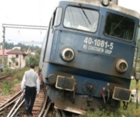 Un tren a DERAIAT după ce a lovit o turmă de bivoli