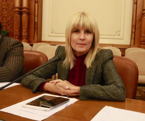 Camera Deputaților. Cazul Elena Udrea, pe masa Comisiei Juridice. Mâine se dă votul în plen