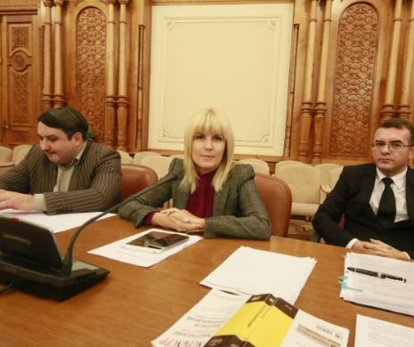 Cazul „Elena Udrea” a descoperit un haos legislativ: Ministerul lui Predoiu a ignorat o decizie a CCR