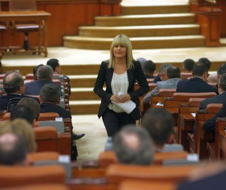 Ce a făcut Elena Udrea în timpul cât a stat în sala de plen a Camerei Deputaților