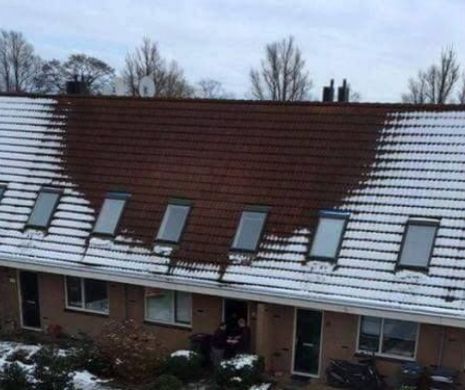 Ce au descoperit politistii cand s-au uitat mai atent la acoperisul acestei case. L-au arestat imediat pe proprietar