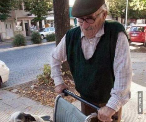 Ce face un bătrân în fiecare zi pentru câinele său invalid. Imaginea care a emoţionat o lume întreagă | FOTO