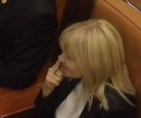 Cum explică Elena Udrea gestul cu mâna la nas din Parlament