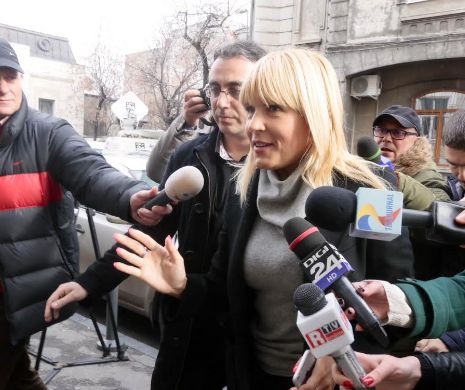 Elena Udrea a declarat la ICCJ că Dorin Cocoş avea o relaţie stabilă cu doi ani înainte de divorţ