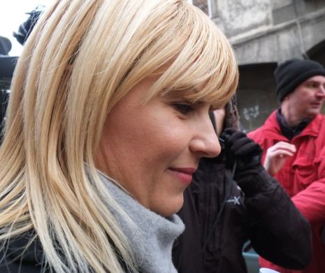 Elena Udrea află astăzi dacă va fi eliberată