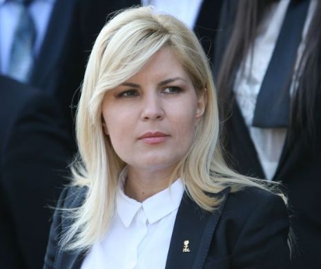 Elena Udrea:  Nu pot să nu leg cererea de arestare de acuzaţiile pe care le-am făcut