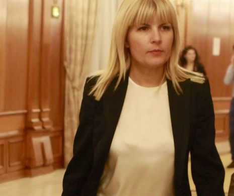 Elena Udrea reproșează: „Sunt prezentată drept mama corupților”
