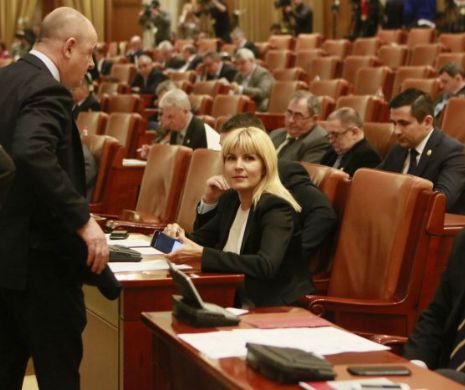 Elena Udrea, urmărită penal cu acordul Parlamentului