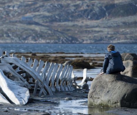 „Leviathan” – filmul anului în Rusia, nominalizat la Oscar, din 13 martie în cinematografe