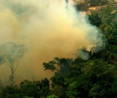 NASA explică modul în care TONE din nisipul Saharei ajung în jungla din Amazon, peste ocean | VIDEO