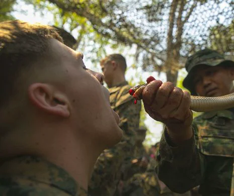 Soldaţii americani IRONIZEAZĂ întreaga lume. Antrenamentele ŞOCANTE din JUNGLĂ care îţi vor da FIORI | GALERIE FOTO