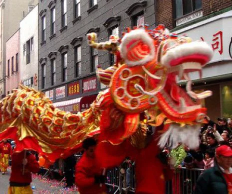 Zodiacul chinezesc. Anul Oii de lemn debutează cu conflicte sociale și politice