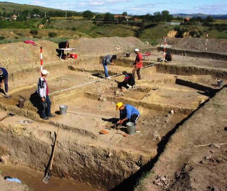 Arheologii germani au descoperit cel mai vechi COVRIG din lume
