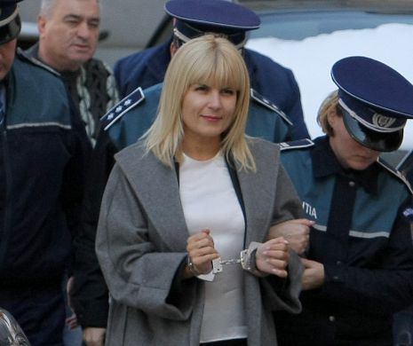 Avocații Elenei Udrea: „Confruntările au demontat acuzațiile”