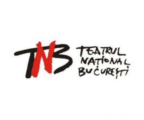 Festivalul Internaţional de Teatru - NETA 2015, la Bucureşti