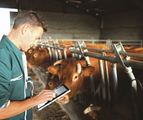 Frânc (FCBR): Fermierii nu sunt împotriva reducerii TVA la lapte