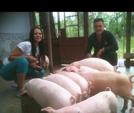 Porcul românesc, bun de export în China
