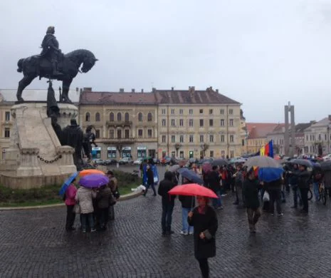 Protest anemic ”anti Șova” la Cluj Napoca