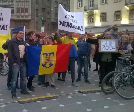”Șuie Mova” la Timișoara. Oamenii au protestat față de decizia Senatului de a-l proteja pe Șova