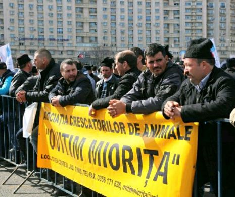 Crescătorii de animale vs. Guvern: Proteste şi la Cluj