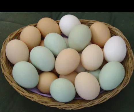 Cum poţi albi rufele cu coji de ouă