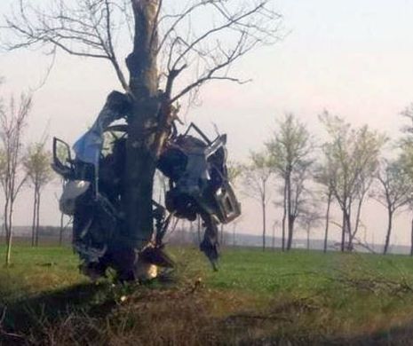 Fotografie şocantă. Cel mai ciudat accident din România. A ajuns cu maşina în copac şi a fost nevoie de o scară să dea jos MORTUL din pom