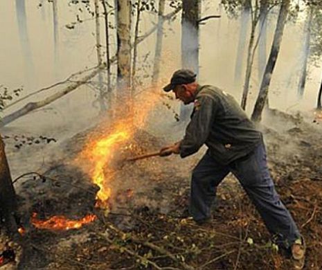INCENDII de vegetație în Siberia: Cel puțin 15 au murit, iar alţi 77 au ajuns la spital | FOTO şi VIDEO