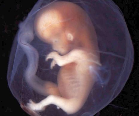 LUMEA ȘTIINȚIFICĂ E ÎN ALERTĂ MAXIMĂ! Chinezii au modificat genomul unor embrioni umani