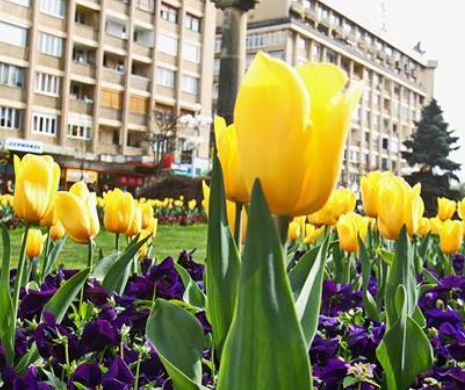 MAI: Peste 1,4 milioane de români îşi serbează onomastica de Florii