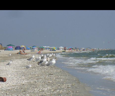 Măsuri pentru protejarea plajelor Vadu şi Corbu - „Nu au destinaţie turistică”