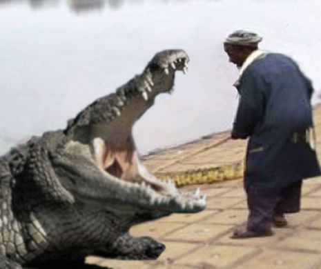 Misterul dresorului de crocodili mâncat de reptile | VIDEO