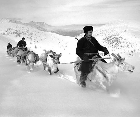 O istorie vie. Cum trăieşte un trib mongol ca pe vremea lui Ginghis Han | FOTO