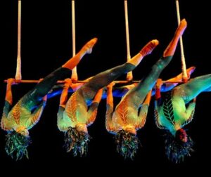 Pentru cei interesaţi: Cirque du Soleil e DE VÂNZARE! Cât costă ca să îl ai | VIDEO