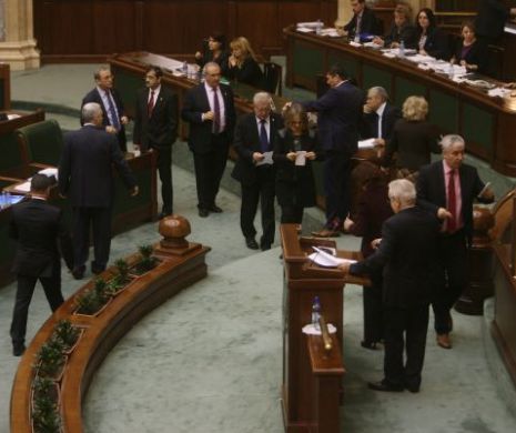 Senatul va trimite un punct de vedere la CCR cu privire la contestaţia depusă de PNL în cazul Şova