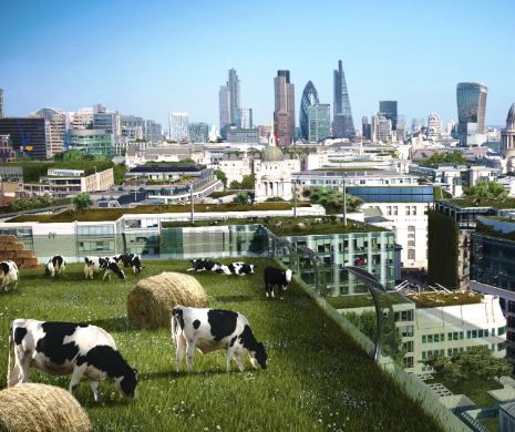 Agricultura viitorului: Ferma de pe acoperişul blocului!