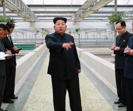 De ce s-a enervat dictatorul Kim Jong Un că NU S-AU REPRODUS HOMARII