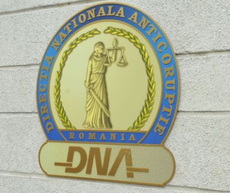 DNA cere documente de la Comisia de Regulament a Senatului