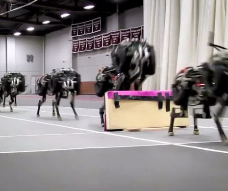 GEPARDUL-ROBOT care își planifică pașii, aleargă și SARE peste obstacole | VIDEO