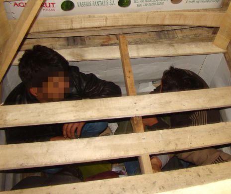 Mai mulţi migranţi ascunşi într-un TIR cu PEPENI au fost descoperiţi la Calafat | GALERIE FOTO