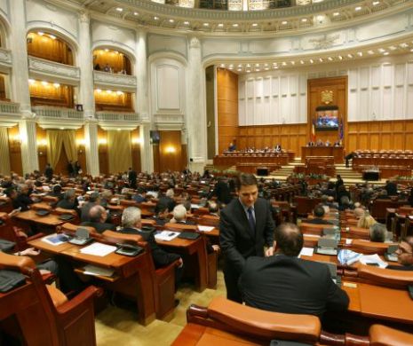 Parlamentarii, ofuscați de circul cătușelor