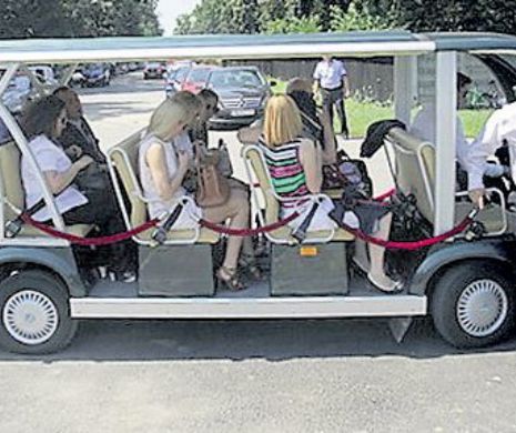 Primăria Timișoara a cumpărat minibus-uri neînmatriculabile