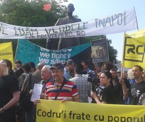 Proteste în București și în țară față de despăduririle abuzive