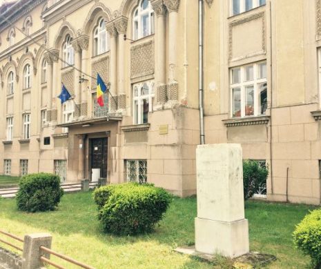 Au fost prinși hoții care au furat STATUILE DE BRONZ din Timișoara