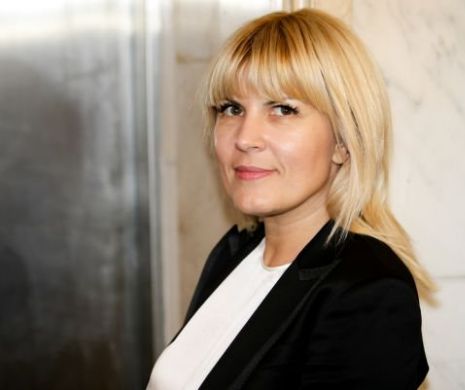 Avocații Elenei Udrea au desființat în fața judecătorului rechizitoriul din dosarul „Gala Bute”