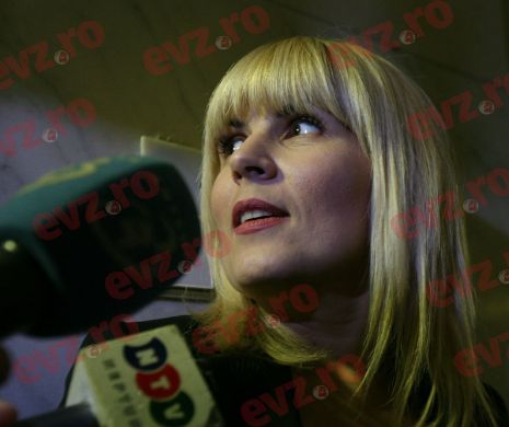 Elena Udrea: Toate partidele se finanţează din bani negri